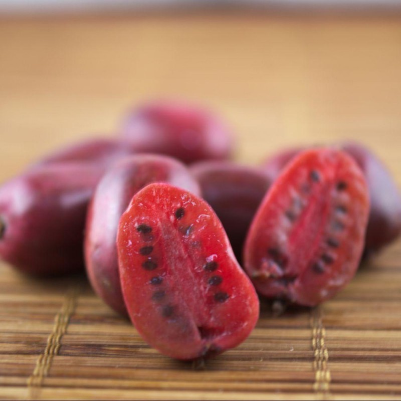 KIWI Ken's Red (Actinidia arguta Ken's Red)