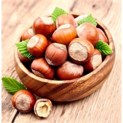 Corylus colurna – Törökmogyoró